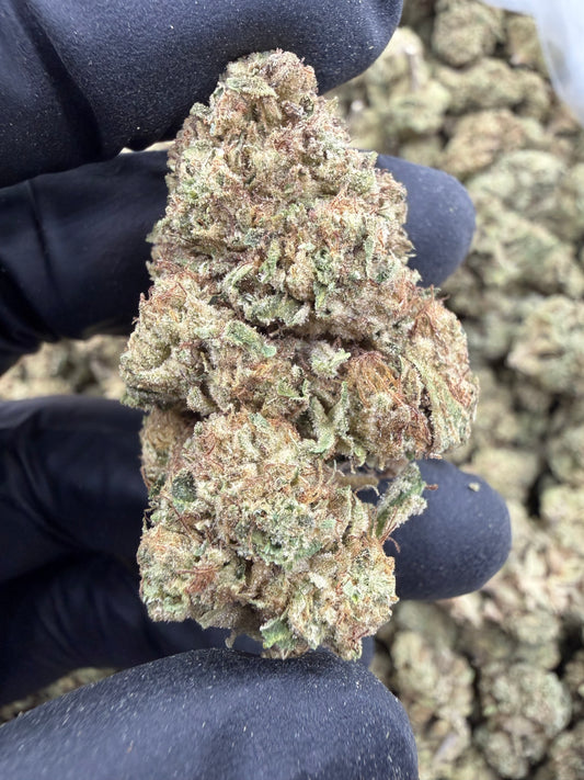 Mendo Breath