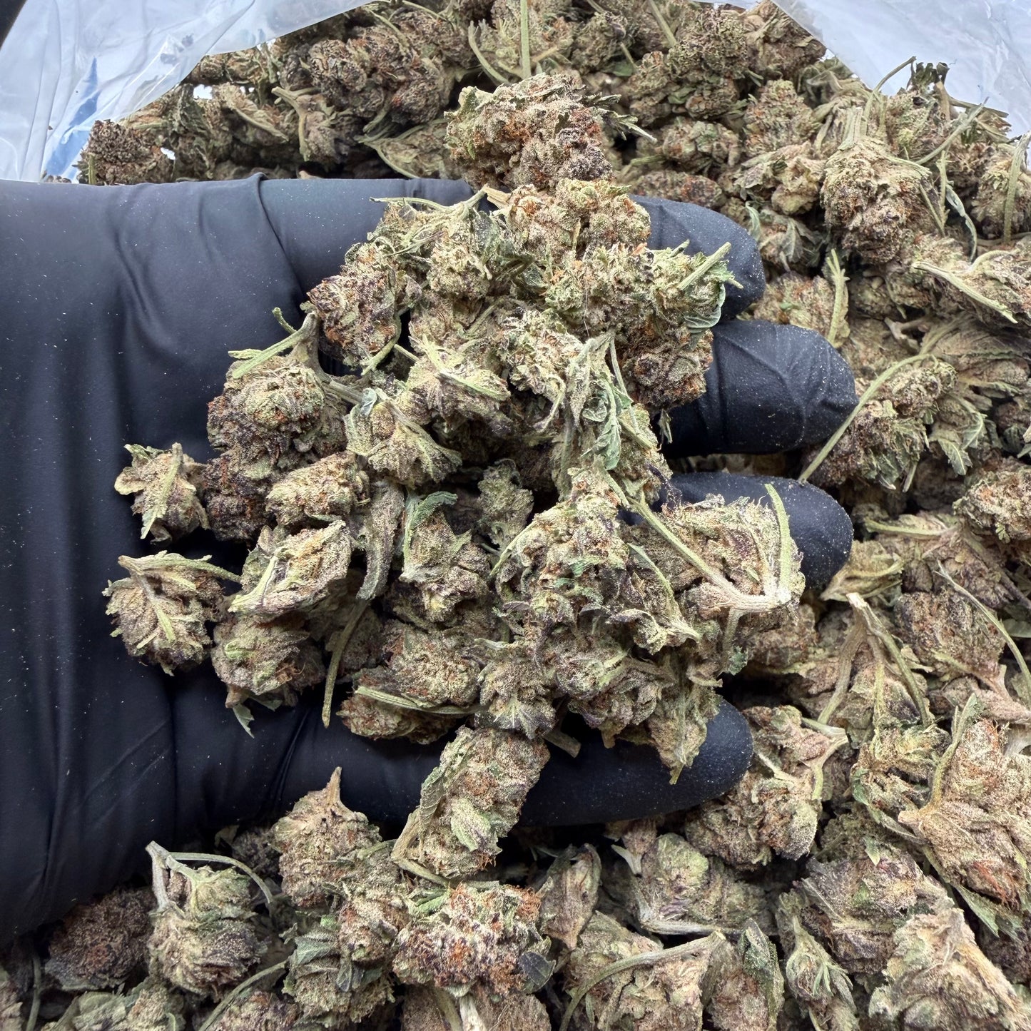 Mendo Breath Smalls