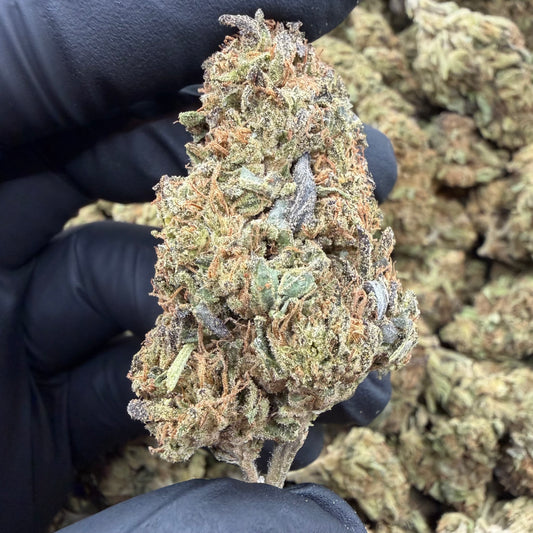 Mule Fuel