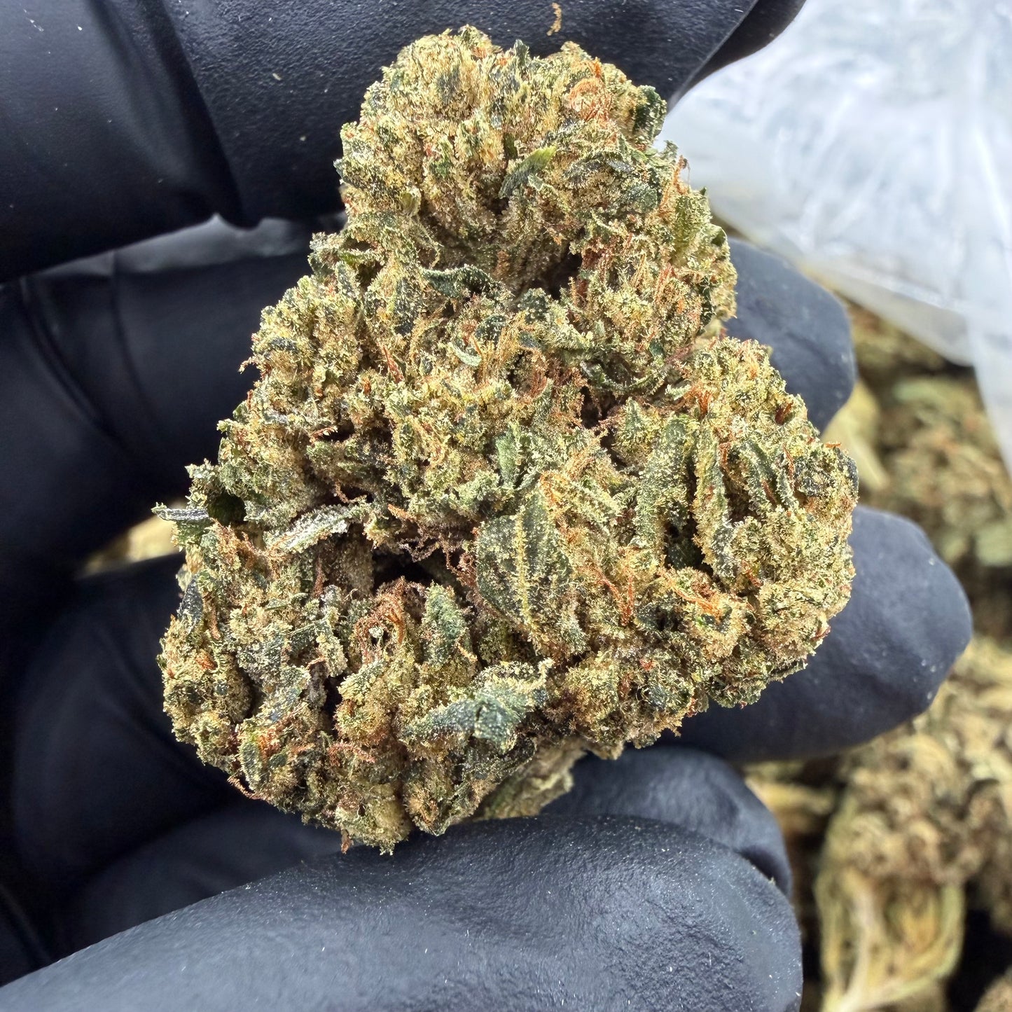 OG Kush