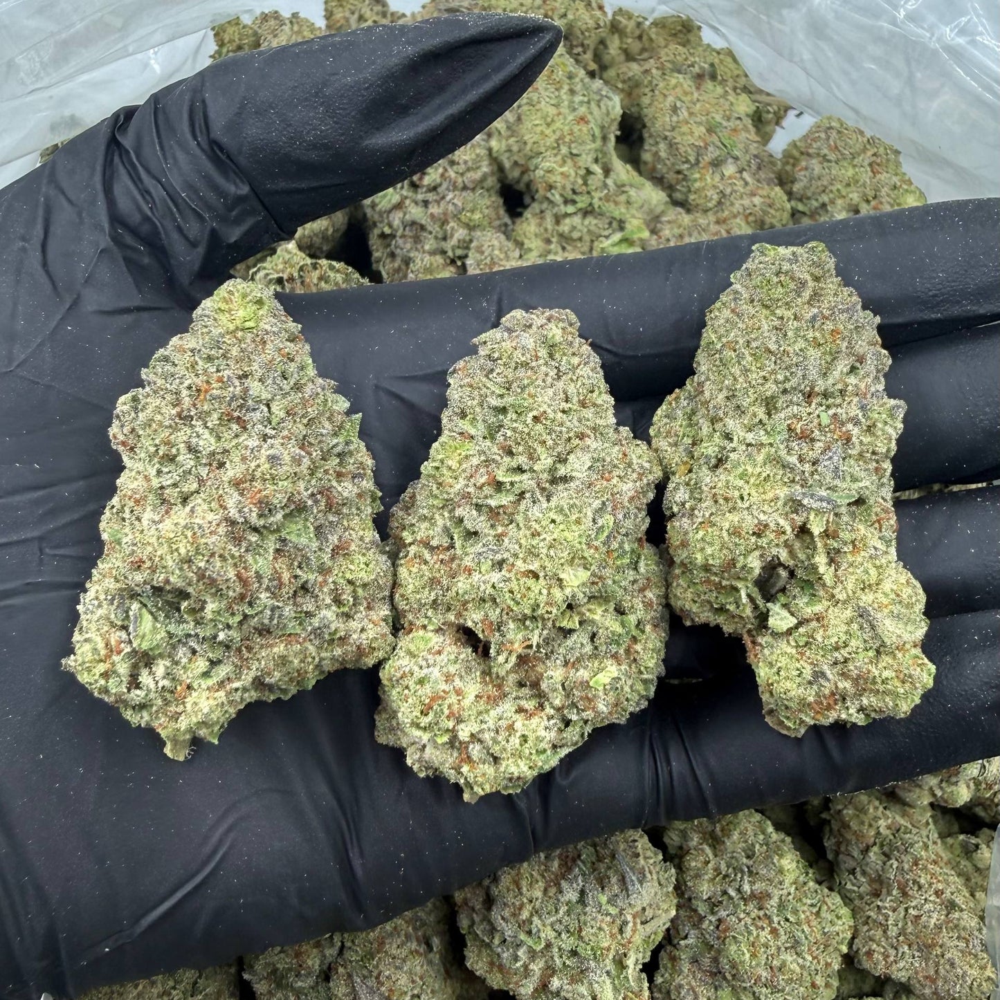 Pink Guava Bomb *Bulk*