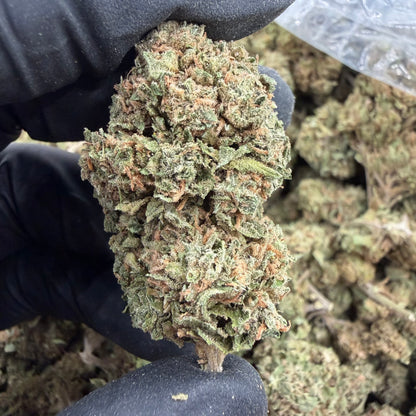 Pink Kush