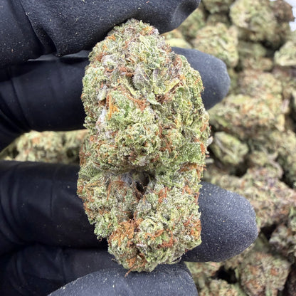 Platinum Ice