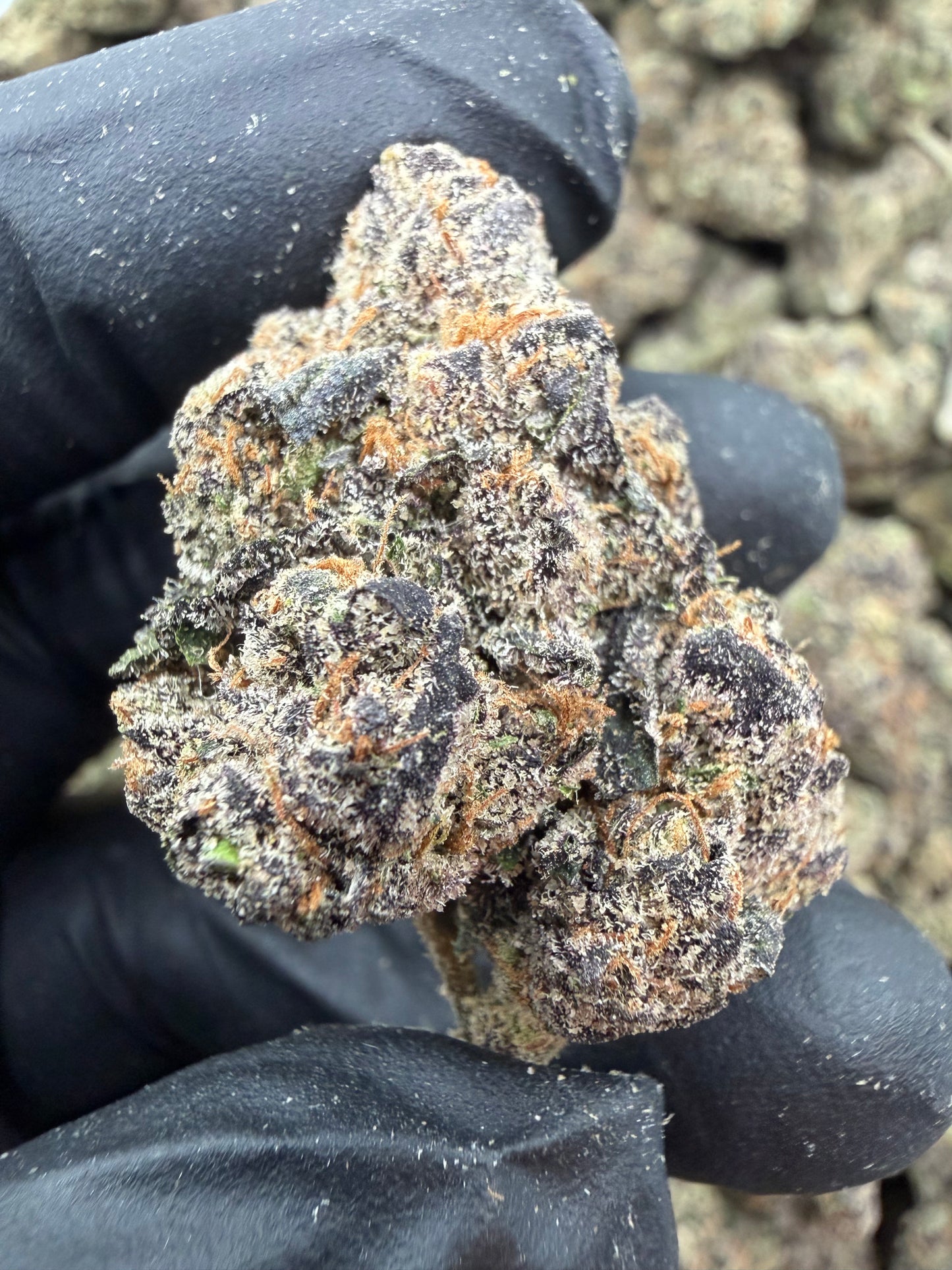 Platinum Ice