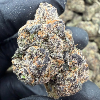 Platinum Ice