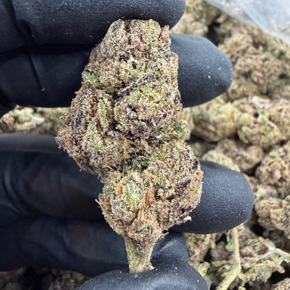 Purple Kush