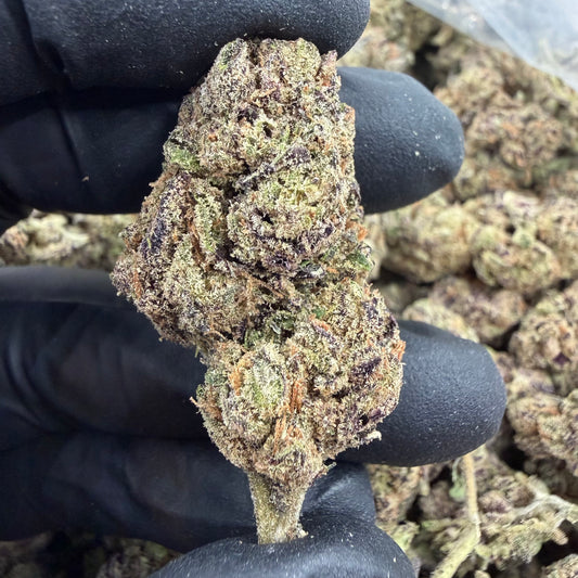 Purple Kush
