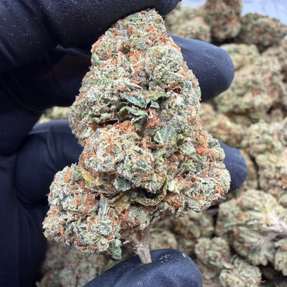 SFV OG