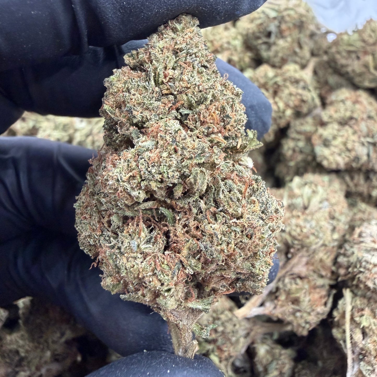 Skywalker OG