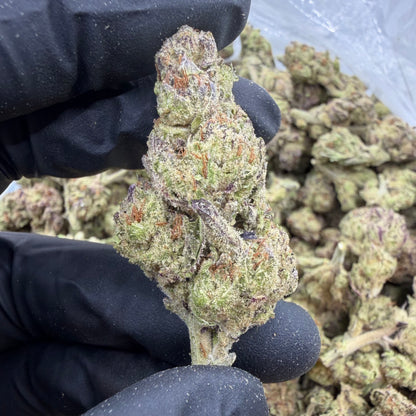 Super Silver Haze