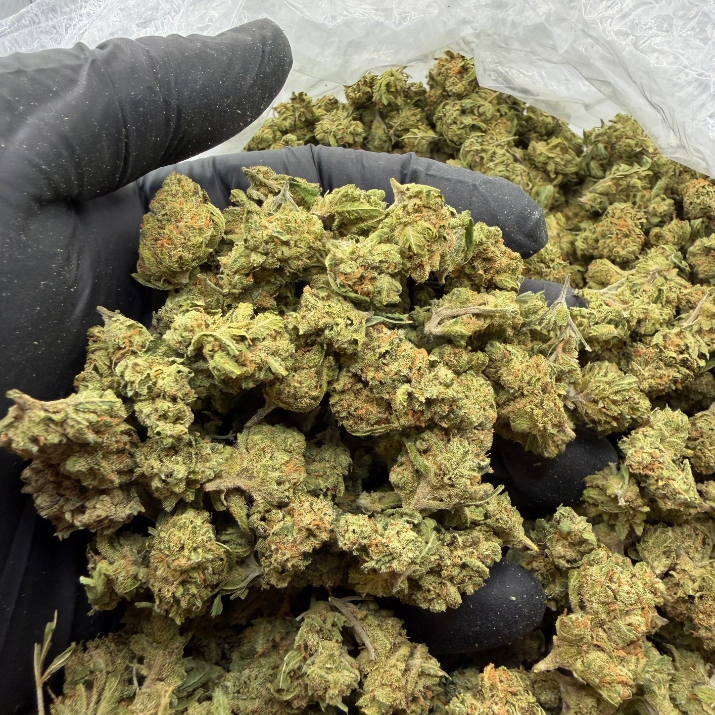 Super Silver Haze Smalls