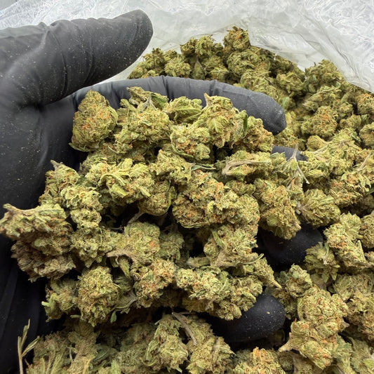 Super Silver Haze -Smalls-