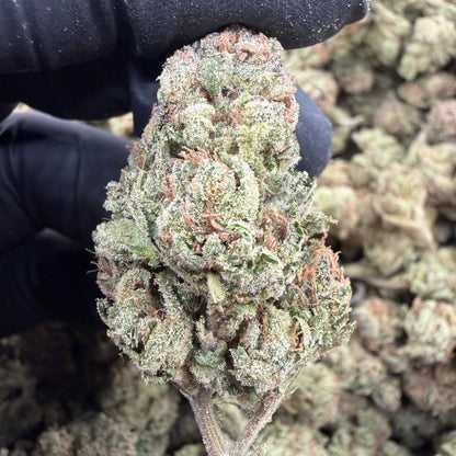 Triangle Kush