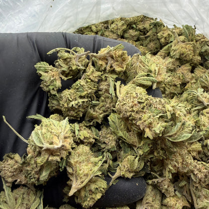 White Widow -Smalls-