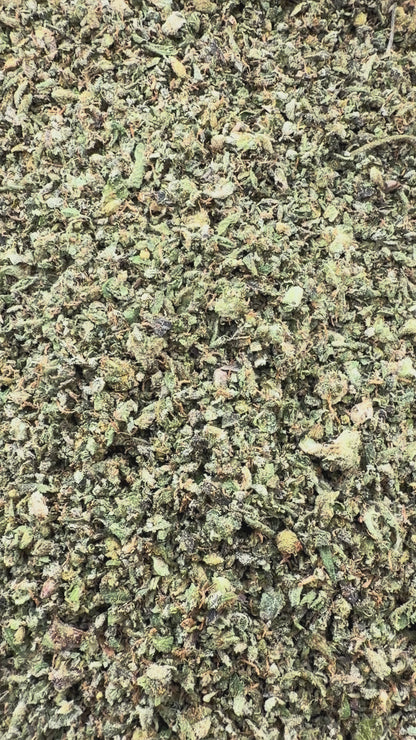 *Exclusive* Mixed Shake