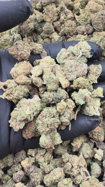 Premium Mixed Buds