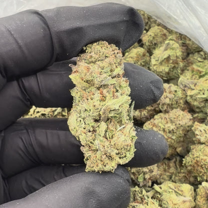 Lemon Kush