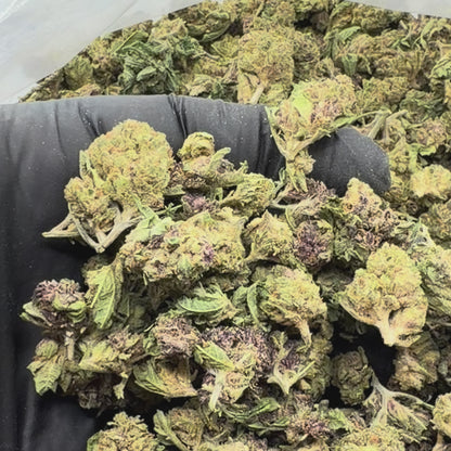 Lemon Haze -Smalls-