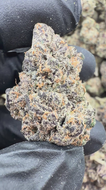 Platinum Ice