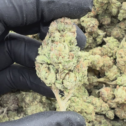 Triangle Kush