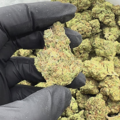Gorilla Glue #4