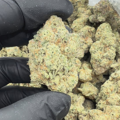 Alien Kush
