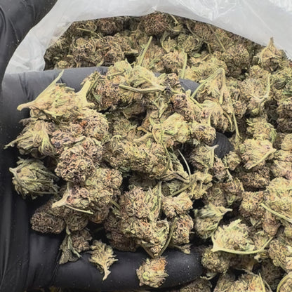 Mendo Breath Smalls