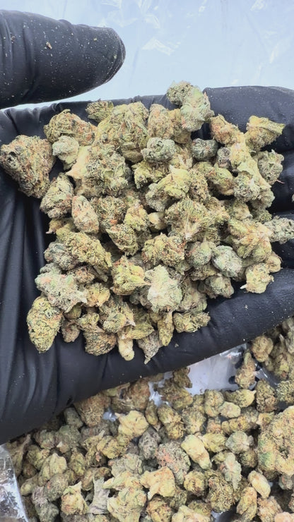 *Exclusive* Mixed Buds