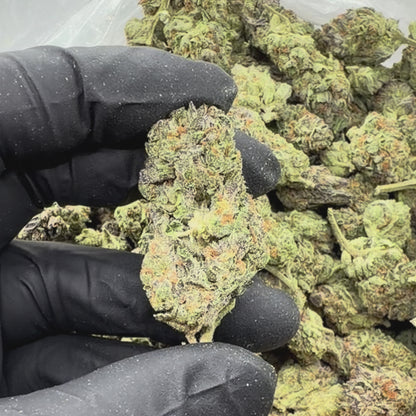 Blueberry Haze
