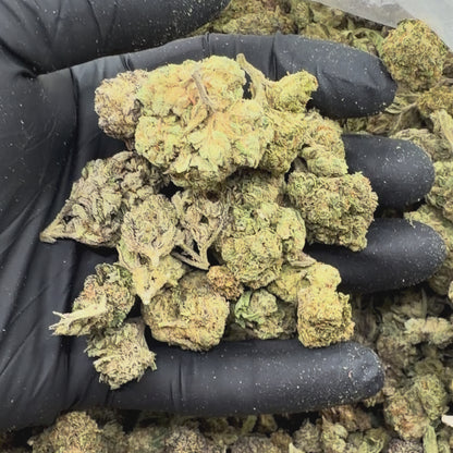 Essentials Mixed Buds