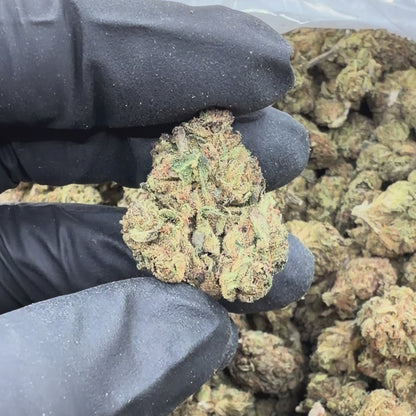 Cherry LCG