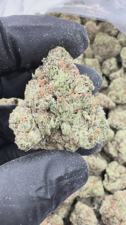 Candy Apple