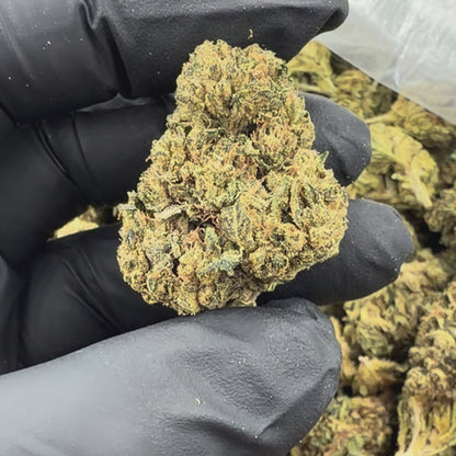 OG Kush
