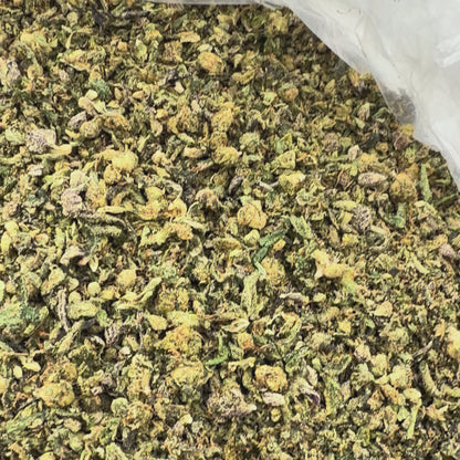 *Exclusive* Mixed Shake