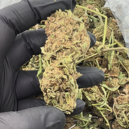 Chemdawg *Budget*