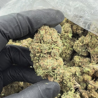 Pink Kush
