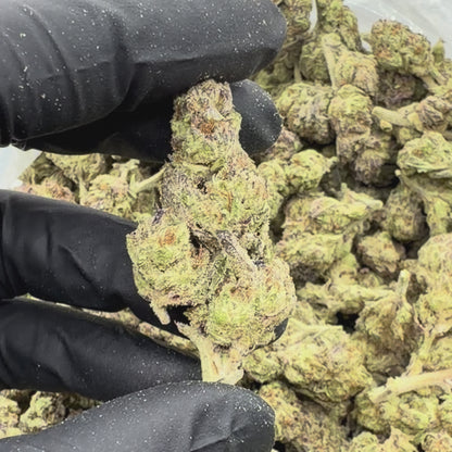 Super Silver Haze