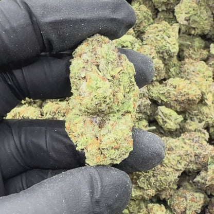 Platinum Ice