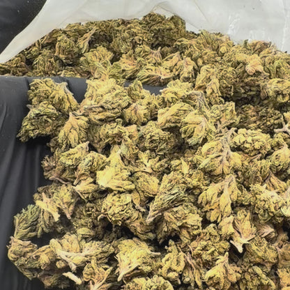 Super Candy *Smalls*