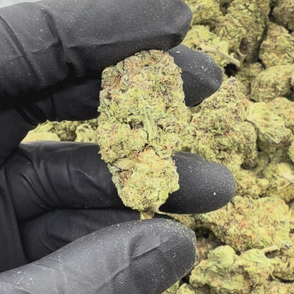 Galactic Glue