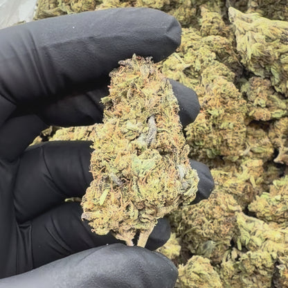 Mule Fuel