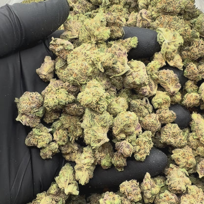 Motor Breath *Smalls*