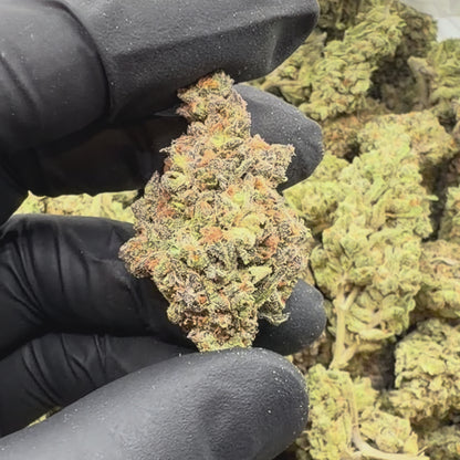 Mendo Breath