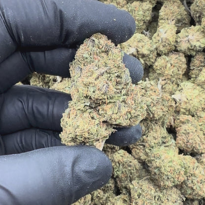 Gelato Gas