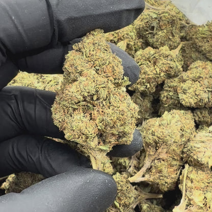 Skywalker OG
