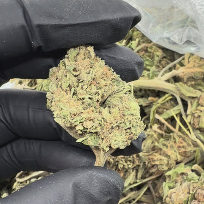 Durban Poison *Budget*