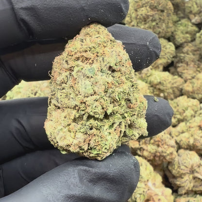 Lemon Candy