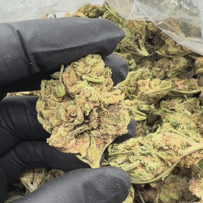 Blue Dream *Budget*