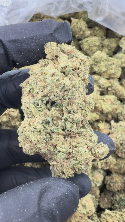 White Widow