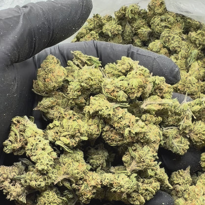 Super Silver Haze Smalls